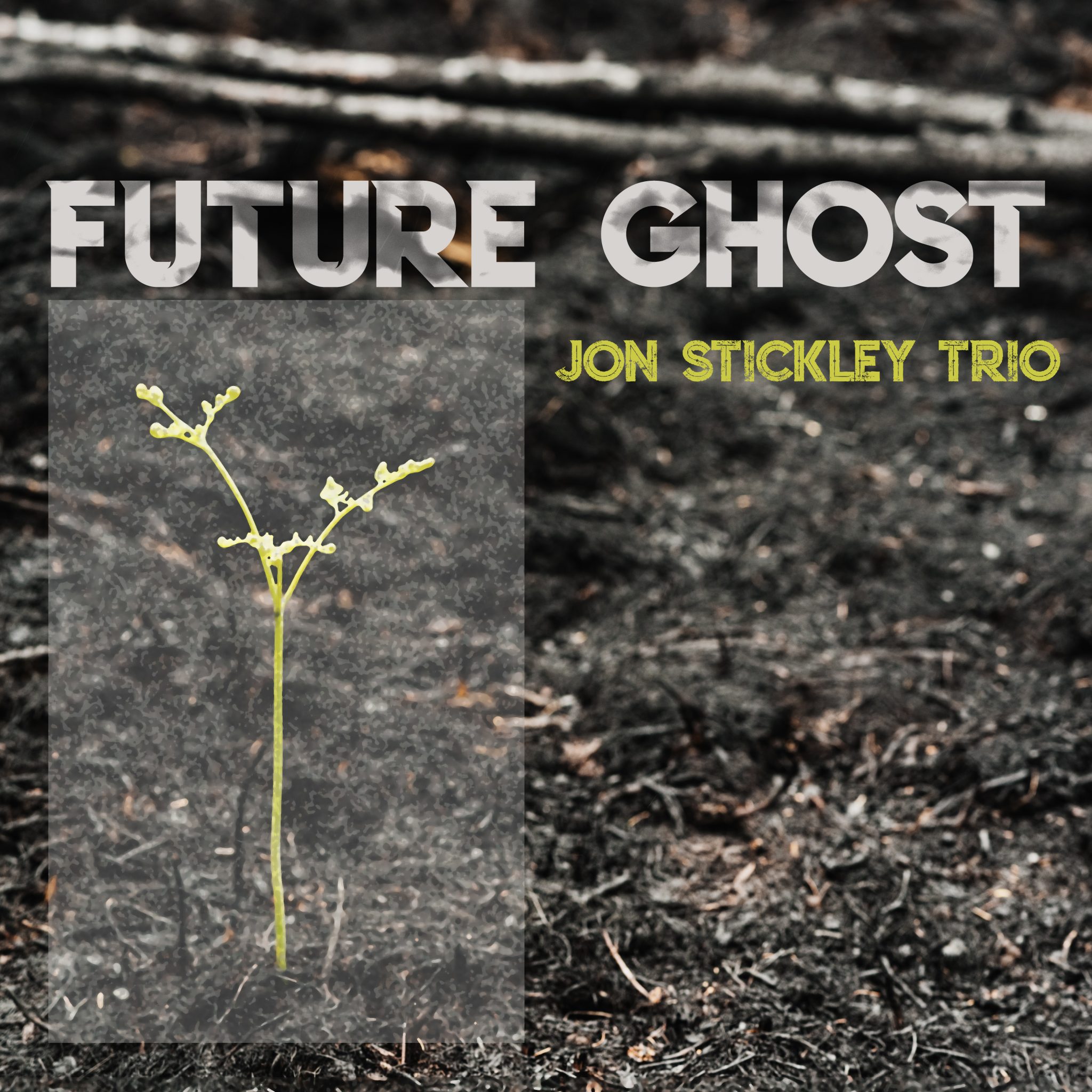 Jon Stickley Trio